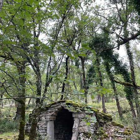 別荘 Mas De Mejas La Casaline Calvignac