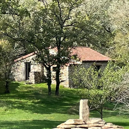 Mas De Mejas La Casaline 別荘 *