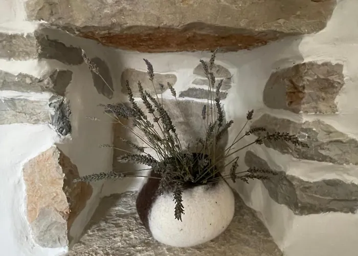 Mas De Mejas La Casaline