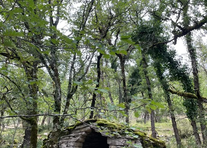 Nyaraló Mas De Mejas La Casaline Calvignac